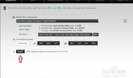 youtube视频怎么下载,视频内容摘要技巧